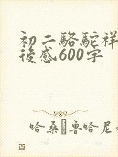 初二骆驼祥子读后感600字