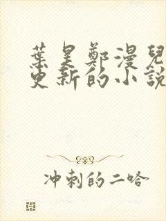 叶昊郑漫儿最新更新的小说