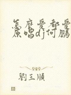 怎么爱都爱不够原唱dj何鹏