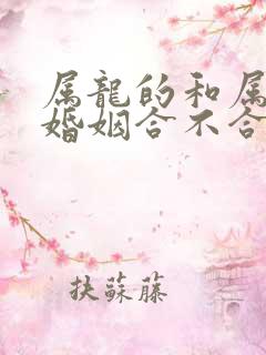 属龙的和属蛇的婚姻合不合