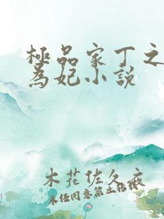 极品家丁之册母为妃小说