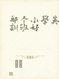 哪个小学英语培训班好