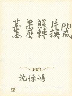 苹果照片png怎么转换成jpg格式