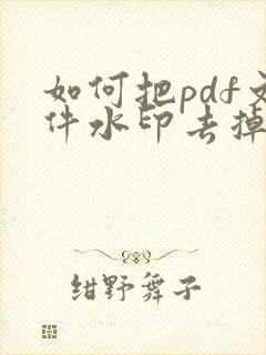 如何把pdf文件水印去掉