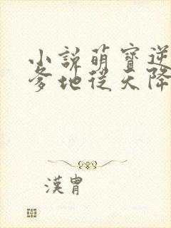 小说萌宝逆天:爹地从天降免费阅读