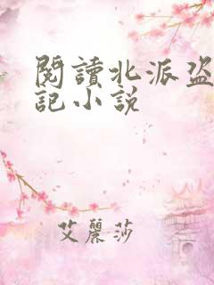 阅读北派盗墓笔记小说