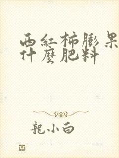 西红柿膨果期施什么肥料