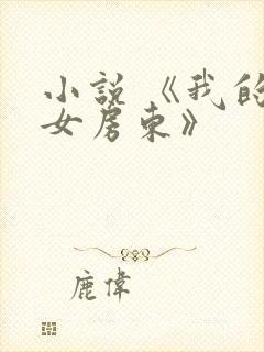小说 《我的美女房东》