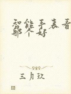 智能手表看小说那个好