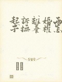起诉离婚两个孩子抚养权怎么判