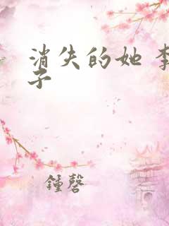 消失的她 李木子