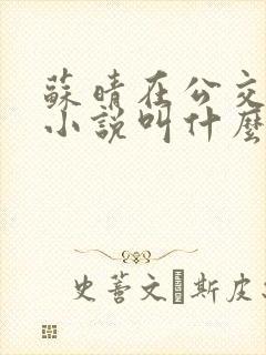 苏晴在公交上的小说叫什么