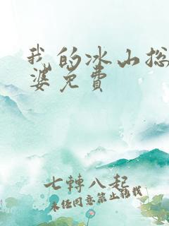 我的冰山总裁老婆免费