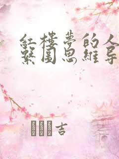 红楼梦的人物关系图思维导图
