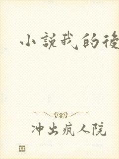 小说我的后妈
