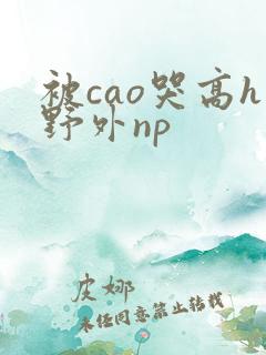 被cao哭高h野外np