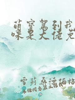 萌宝驾到我的妈咪是大佬免费阅读