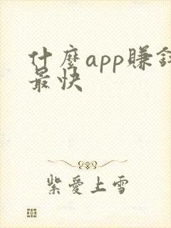 什么app赚钱最快