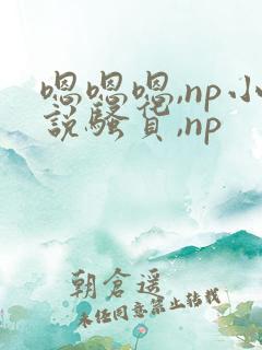嗯嗯嗯,np小说骚货,np
