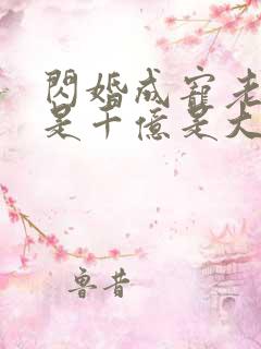 闪婚成宠老公竟是千亿是大佬