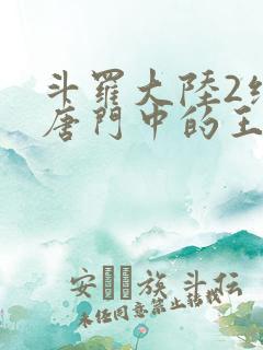 斗罗大陆2绝世唐门中的王冬