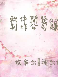 软件开发app制作公司赚钱吗