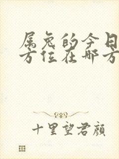 属兔的今日财神方位在哪方