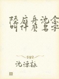 陆庭舟沈念小说叫什么名字