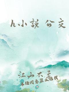 h小说 公交车