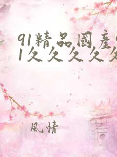 91精品国产91久久久久久不卞