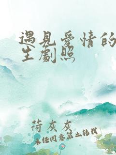 遇见爱情的利先生剧照