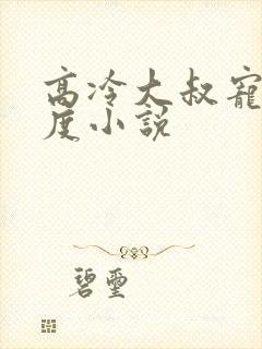 高冷大叔宠妻无度小说