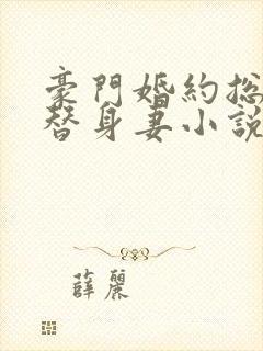 豪门婚约总裁的替身妻小说全文