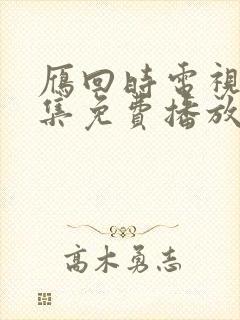 雁回时电视剧全集免费播放在线观看