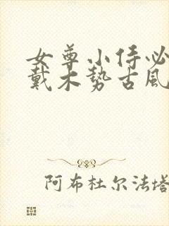 女尊小侍必须佩戴木势古风