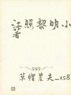 江照黎明小说原著