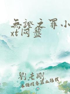 无证之罪小说txt网盘