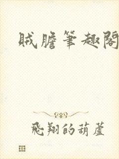 贼胆笔趣阁
