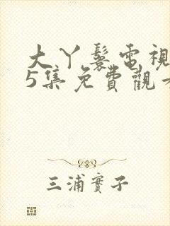 大丫鬟电视剧35集免费观看