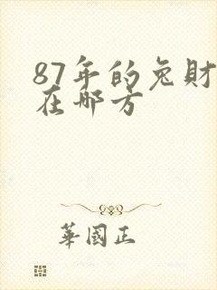 87年的兔财运在哪方