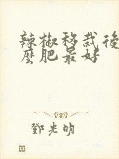 辣椒移栽后用什么肥最好