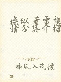 操纵者电视剧剧情分集介绍