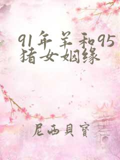 91年羊和95猪女姻缘