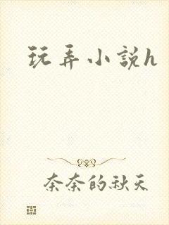 玩弄小说h