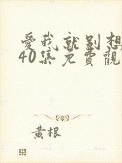 爱我就别想太多40集免费观看