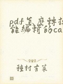pdf怎么转换能编辑的cad图纸