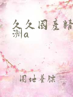 久久国产精品亚洲a