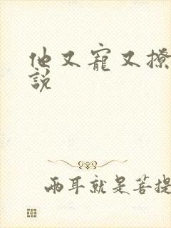 他又宠又撩 小说
