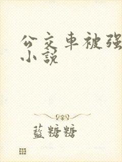 公交车被强上的小说