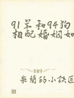 91羊和94狗相配婚姻如何